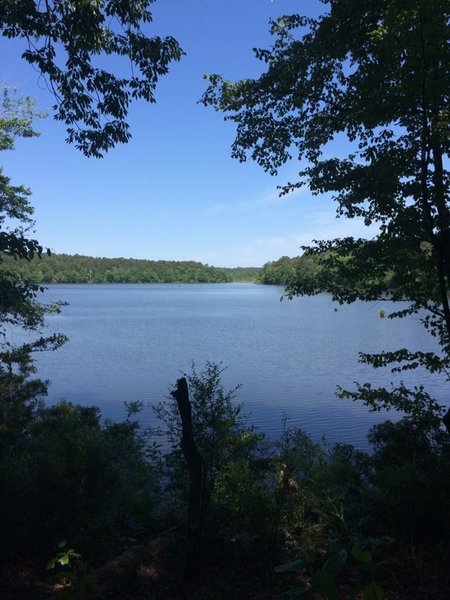 Fern Hollow Trail - White Oak Lake State Park, Arkansas