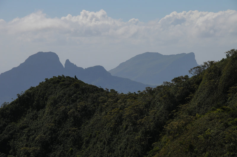 View north towards Mt du Rempart