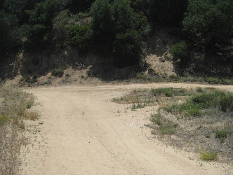 This is the top of Whitney Canyon Road. If you're on the Beast, bearing left is no good - it's downhill! Head right to get to Los Pinetos Peak. (There's actually two junctions you can turn at; this is the second one.)