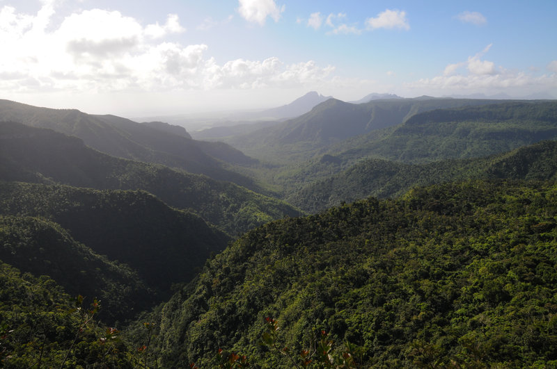 View of the Black River Gorge from the overlook