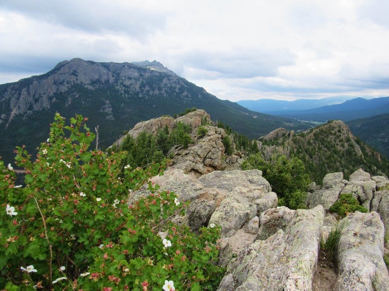 Lily Mtn summit