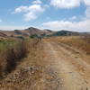 Golden Hills of California