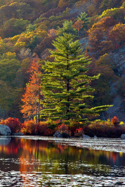 Beautiful colors in Harriman State Park