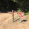 No dogs allowed on this trail but there are more options literally across the street, on the west side of Skyline Blvd