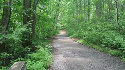 Bridge crossing on the trail