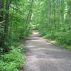 Bridge crossing on the trail