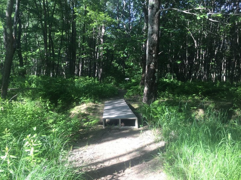 One of the few bridges on the Whitney Brook Trail