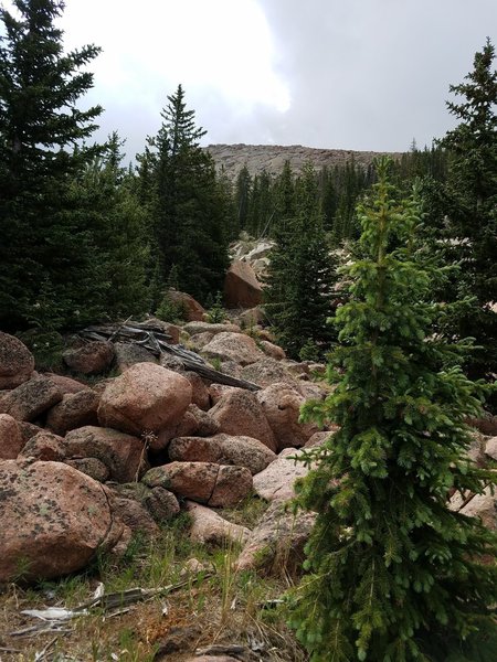 View looking up to Ridgeline.