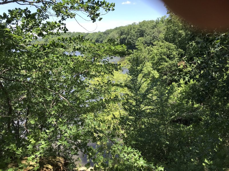 View of Crosswicks Creek through trees