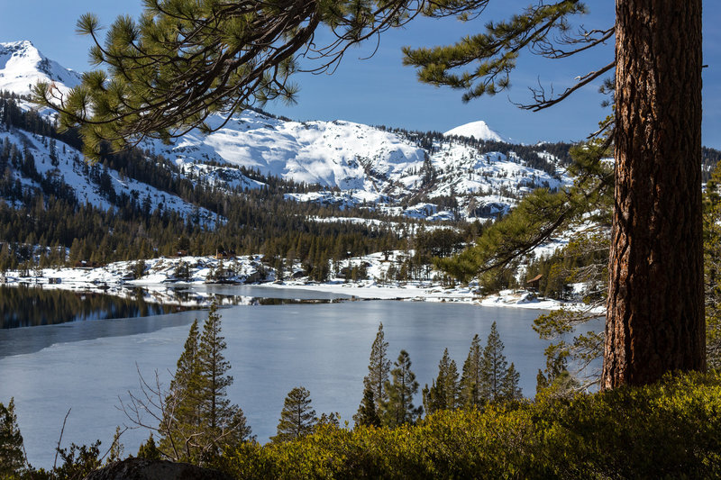 Lower Echo Lake through the trees on the Tahoe Rim Trail