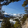 Snowy mountains through the trees on the Pacific Crest Trail