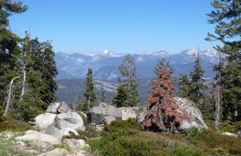 View from the trail looking towards the East & JMT