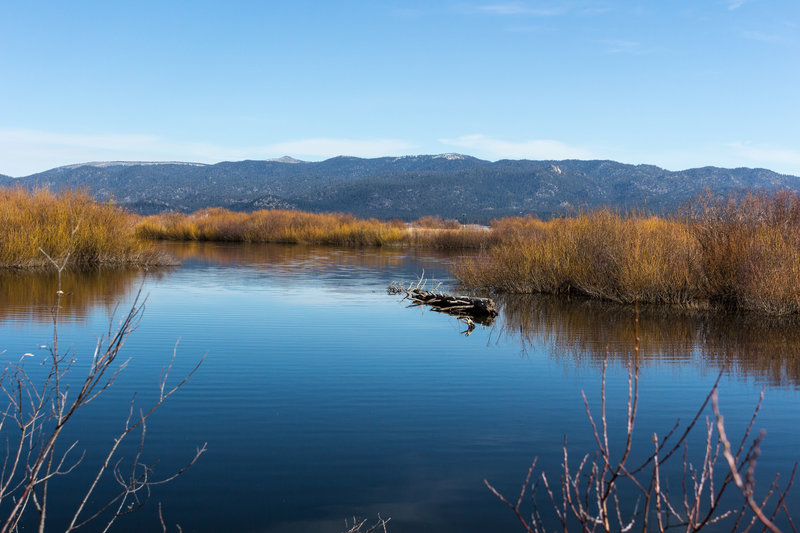 View across the Upper Truckee River