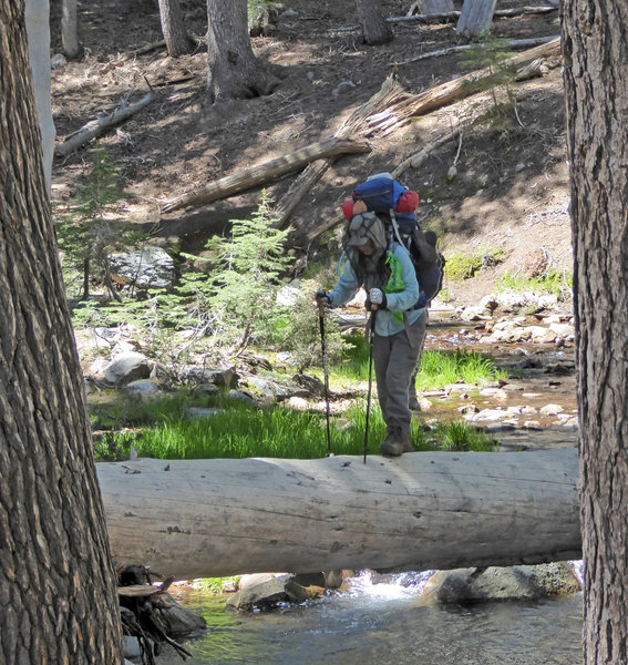 Found a differnt & larger log for crossing the creek on the way out.