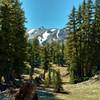 Lassen Peak is seen to the west-northwest, through the firs, high on Paradise Meadows Trail.