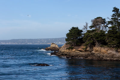 Whaler's Cove from the junction of Carmelo Meadow Trail and Granite Point Trail