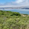 Approx 3/5th into Marshall Beach Trail.