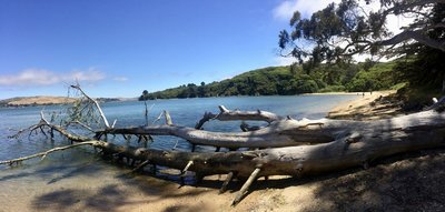 Marshall Beach...beautiful! Has a Caribbean island beach feel to it. :)
