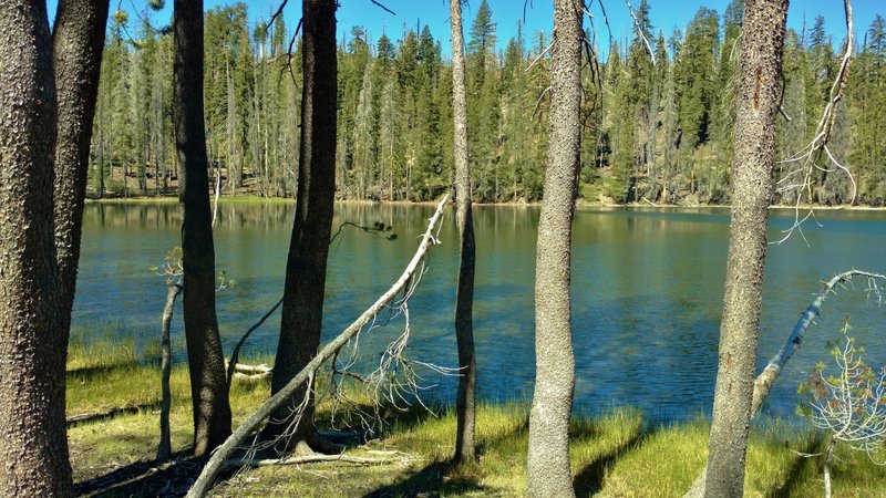 Little Bear Lake along Bear Lakes Trail.