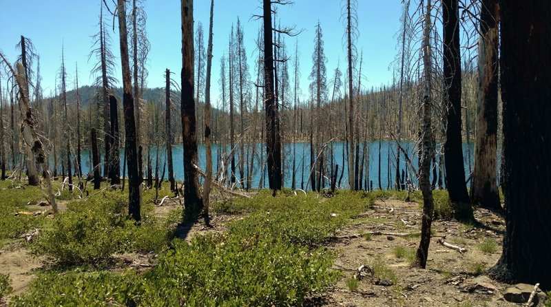 Feather Lake is a jewel in the fire blackened forest. The Reading Wildfire swept through here in 2012.