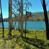 Silver Lake is surrounded by the green grasses of spring and the bare silver trunks of trees burnt in 2012 Reading Wildfire.