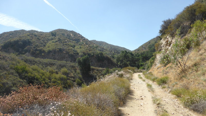 Elsmere Canyon Open Space.