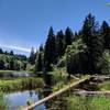 North end of Soapstone Lake.