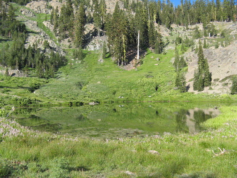 Square Lake