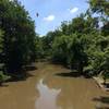 The bridge over the Rouge River on the Mountain Bike and Hiking Trail in Rouge Park. A bird flying over the river.