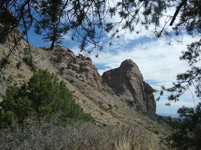Looking NE on the trail.