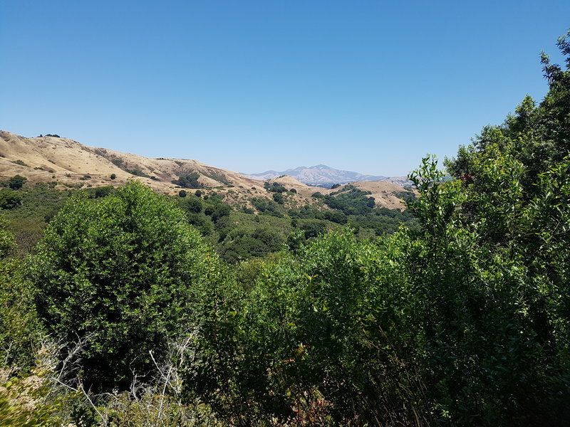 View of Mt. Diablo in the distance