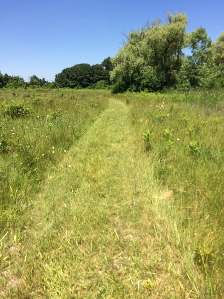 The pathway on the Prairie Trail