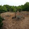 Top of the sandstone bluff "Kennedale Mountain"