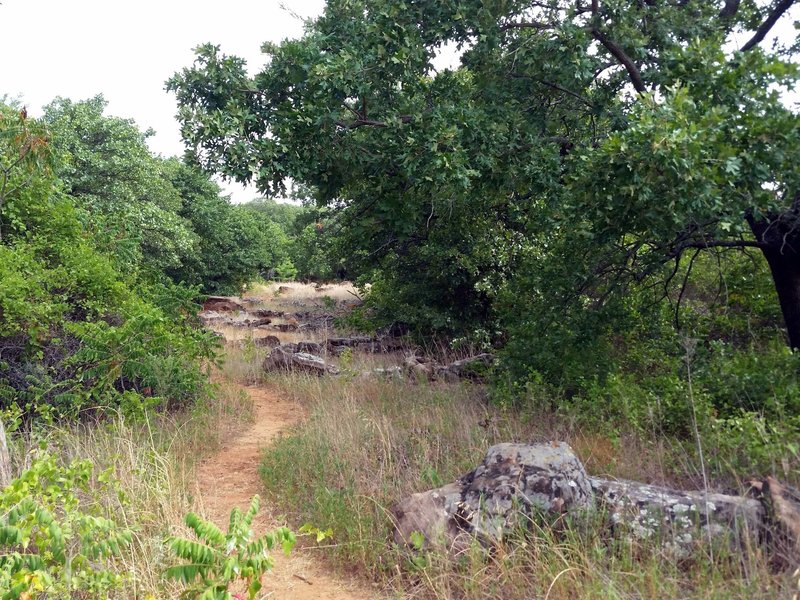 Boulder Path -- a path through the boulders! Clambering is optional.