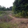 North Pond Trail intersection with Meadow Loop (stright ahead and also to the right)