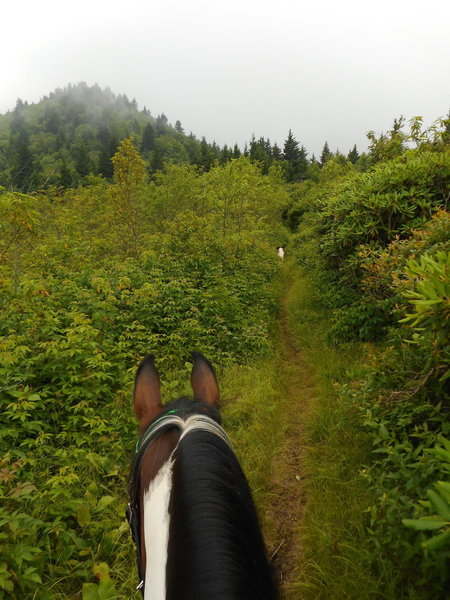 enjoying the trail on BHT