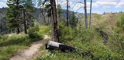 Looking northwest, from the Barber Flat trail, overlooking the north fork of the Boise River Valley.