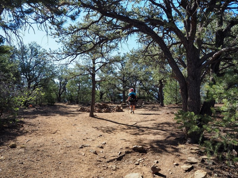 The summit of Devisadero Peak, with its "stone throne."