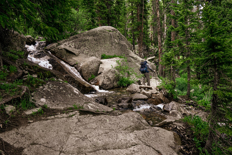 The trail meanders through dense forests and over several creeks.