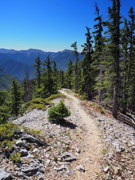 The trail finally leaves the forest for a rocky ridge with views