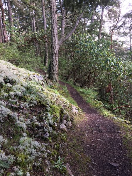 The trail passing by a rock outcropping.