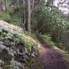 The trail passing by a rock outcropping.