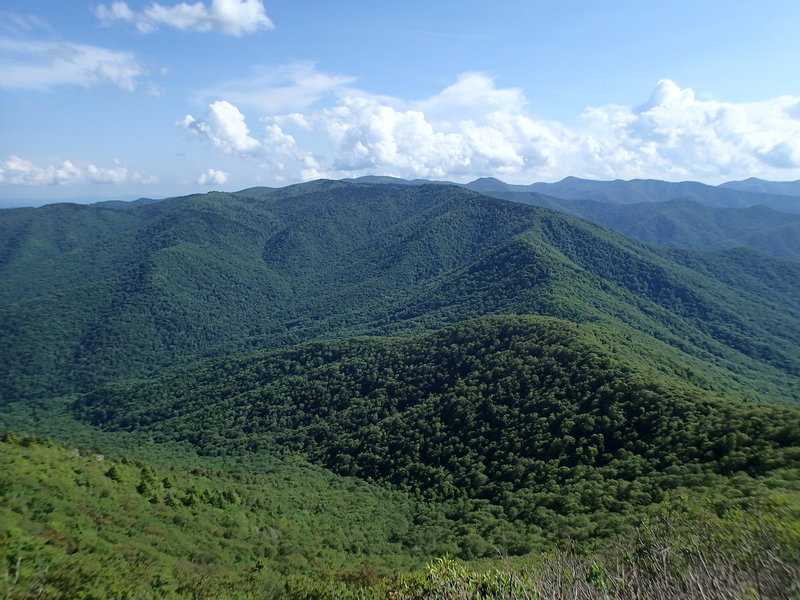 Cold Mountain, NC (6,030 ft)