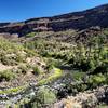 The Rio Grande and Big Arsenic Springs