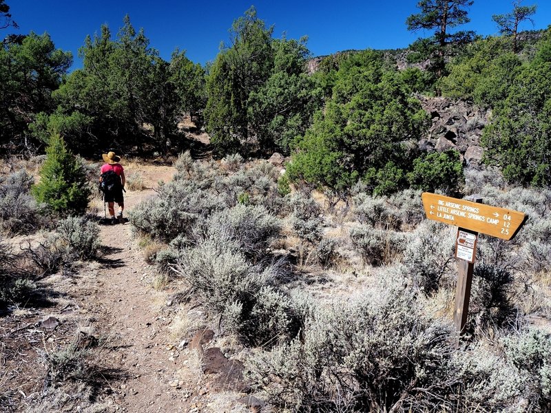 The junction with the River Trail