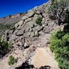 Descending the River Trail to the Rio Grande