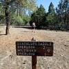 End of the old road and start of the trail to the overlooks