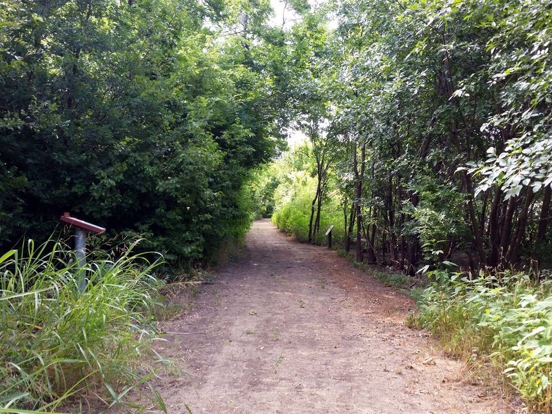 Educational signs on the shared leg between Thicket and Pond Loops