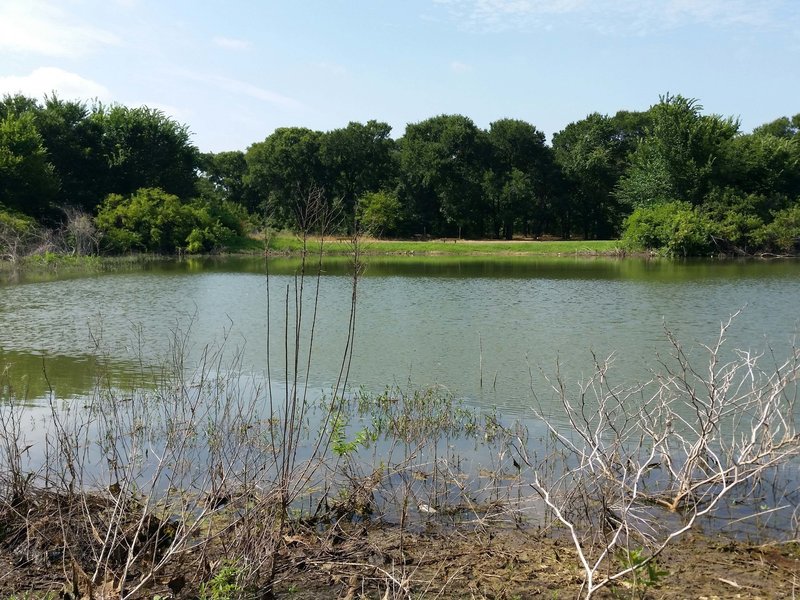 Pond from shared leg of the Thicket & Pond Loops