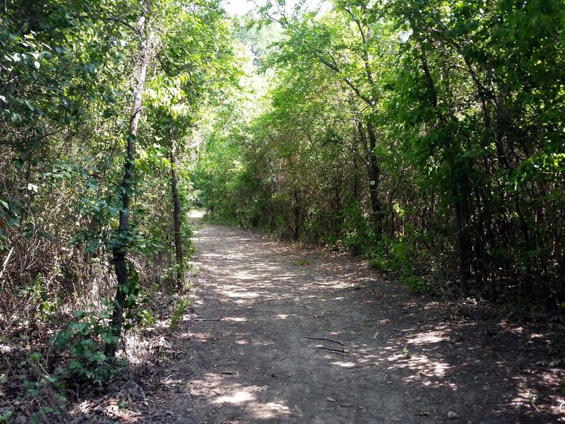 River Trail Loop through upland forest